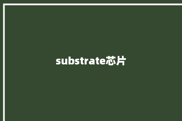 substrate芯片