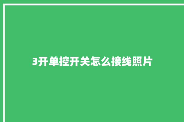 3开单控开关怎么接线照片