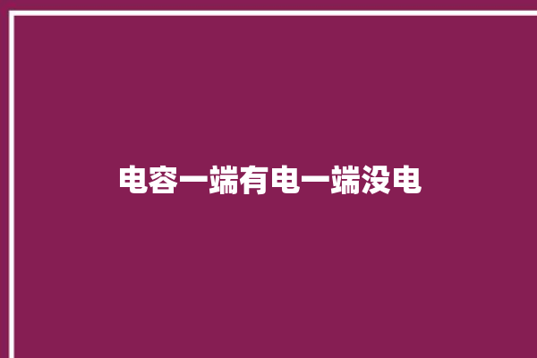 电容一端有电一端没电