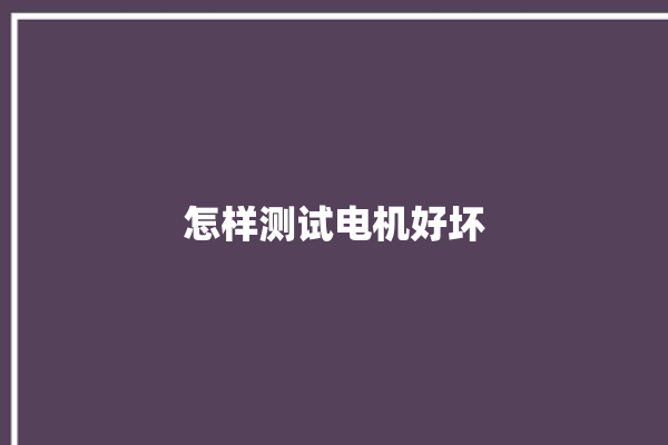 怎样测试电机好坏