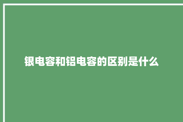 银电容和铝电容的区别是什么