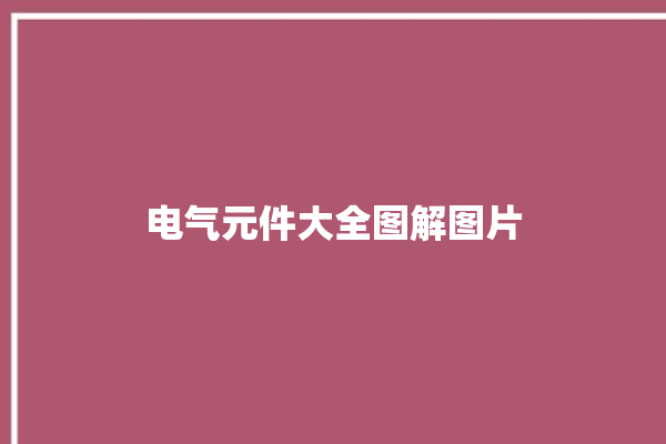 电气元件大全图解图片