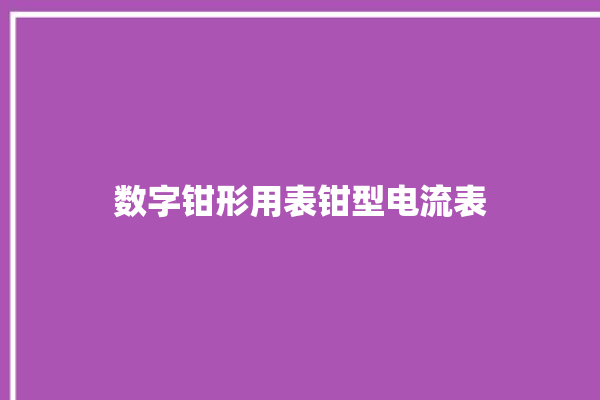 数字钳形用表钳型电流表