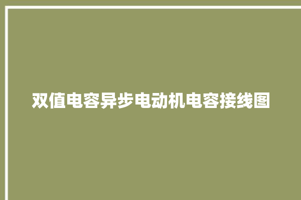 双值电容异步电动机电容接线图