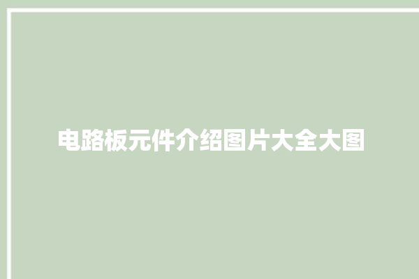 电路板元件介绍图片大全大图