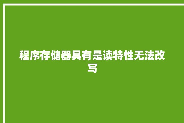 程序存储器具有是读特性无法改写