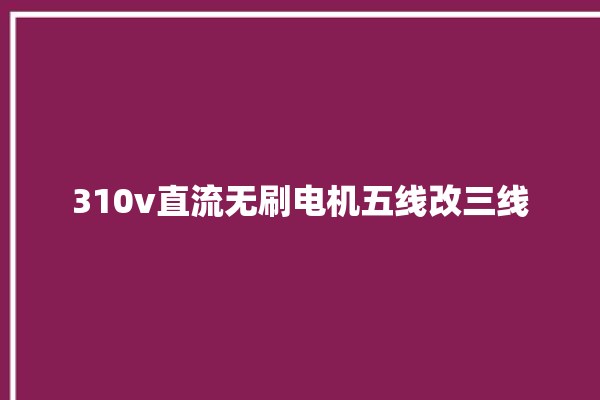 310v直流无刷电机五线改三线