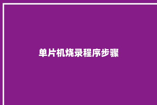 单片机烧录程序步骤