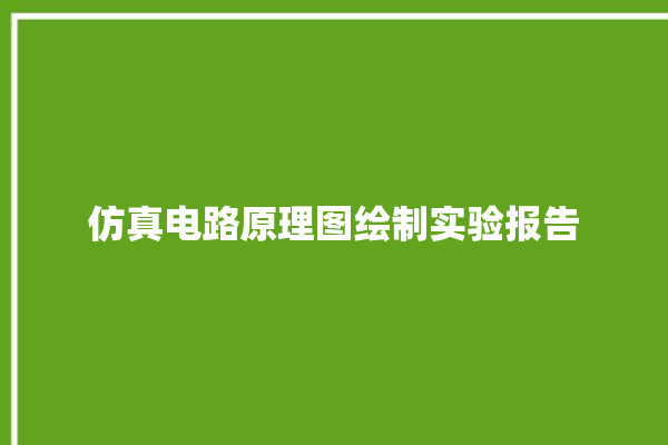 仿真电路原理图绘制实验报告