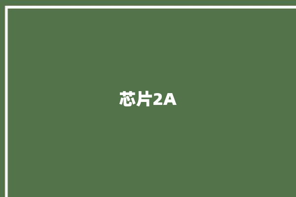 芯片2A