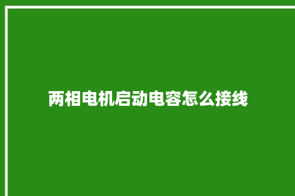 两相电机启动电容怎么接线