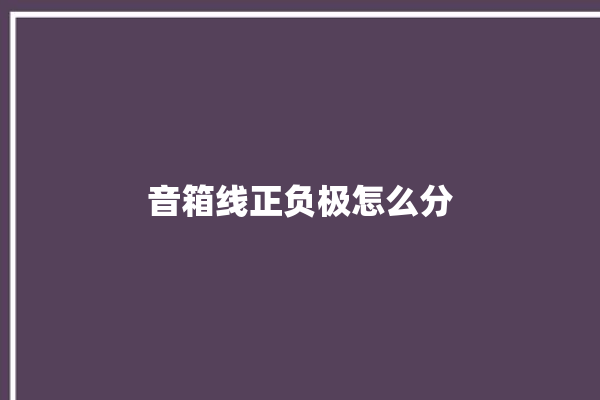 音箱线正负极怎么分