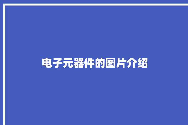 电子元器件的图片介绍