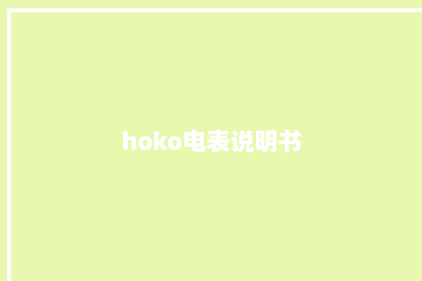 hoko电表说明书