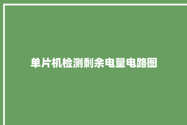 单片机检测剩余电量电路图