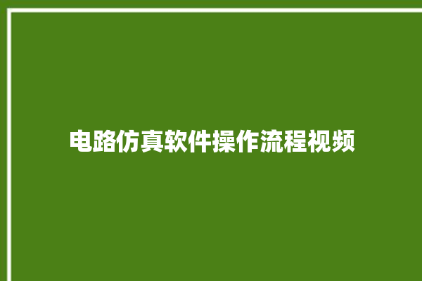 电路仿真软件操作流程视频