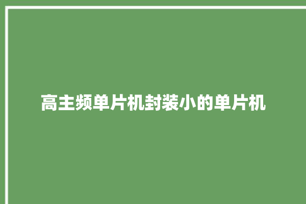 高主频单片机封装小的单片机