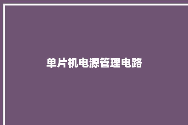 单片机电源管理电路