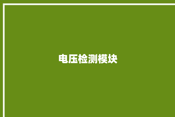 电压检测模块