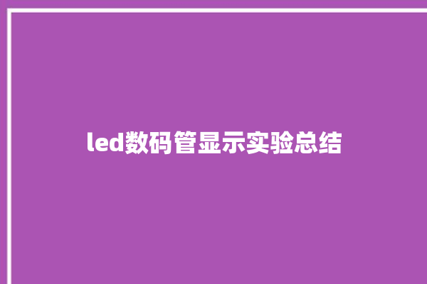 led数码管显示实验总结