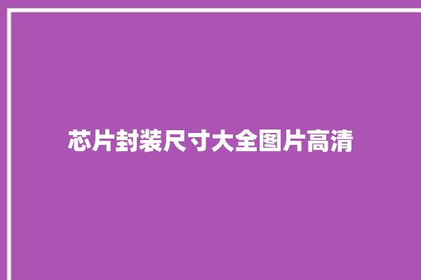 芯片封装尺寸大全图片高清