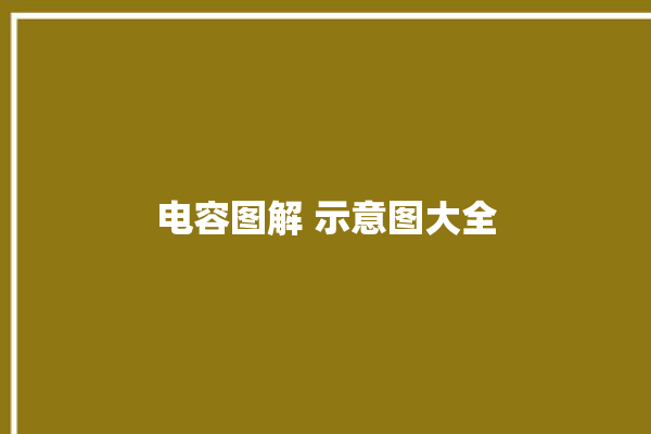 电容图解 示意图大全