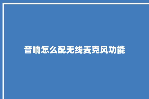 音响怎么配无线麦克风功能