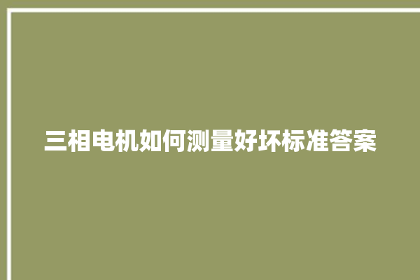 三相电机如何测量好坏标准答案