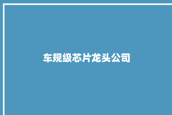 车规级芯片龙头公司