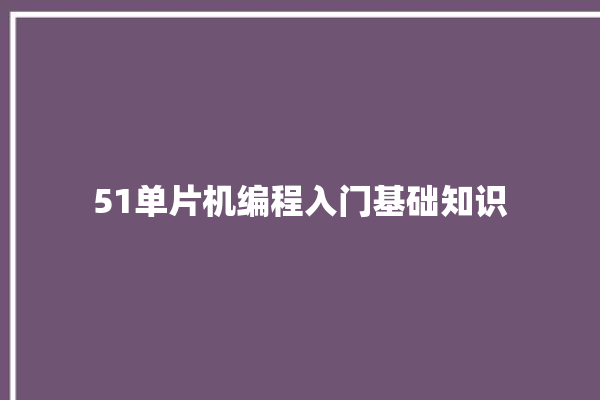 51单片机编程入门基础知识