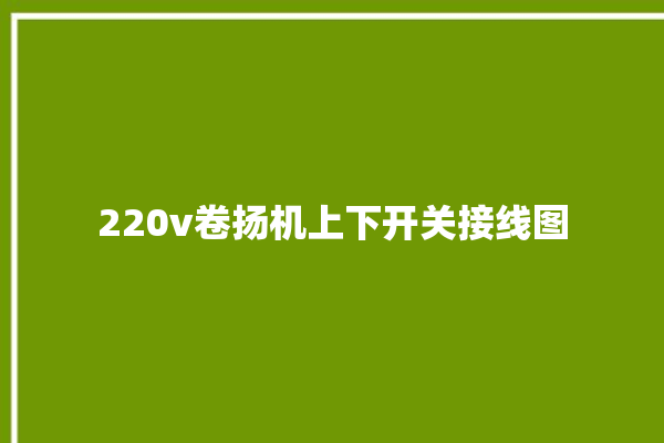 220v卷扬机上下开关接线图