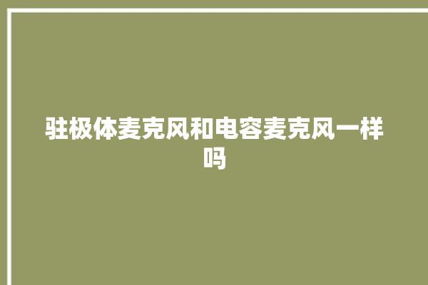 驻极体麦克风和电容麦克风一样吗