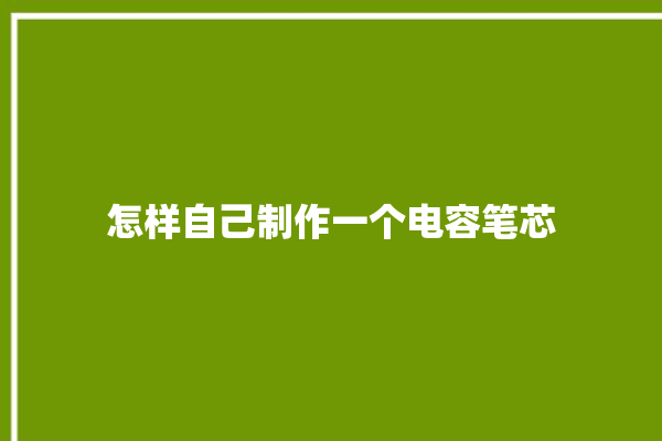 怎样自己制作一个电容笔芯