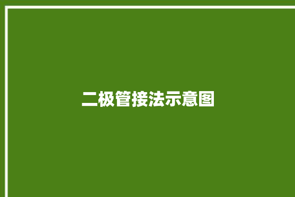 二极管接法示意图