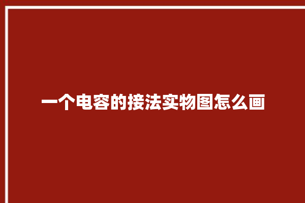 一个电容的接法实物图怎么画