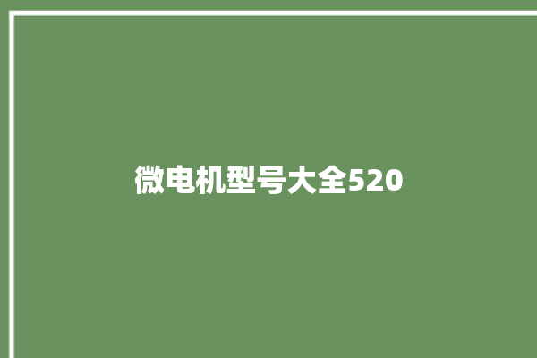 微电机型号大全520