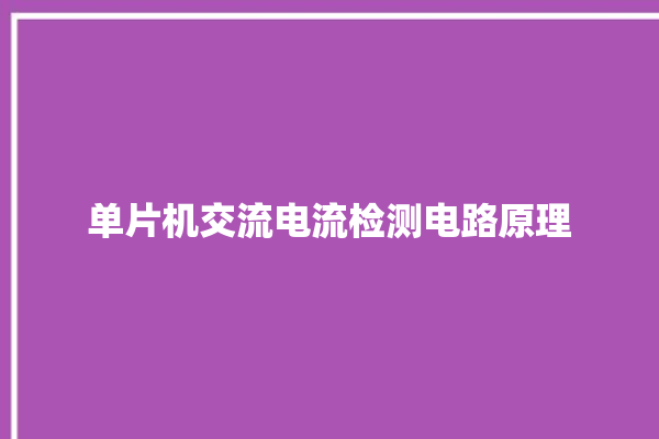 单片机交流电流检测电路原理