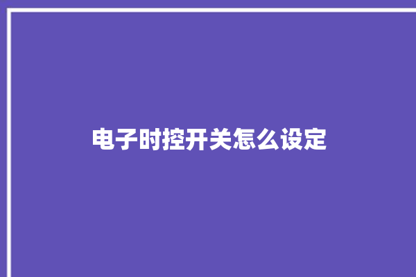 电子时控开关怎么设定