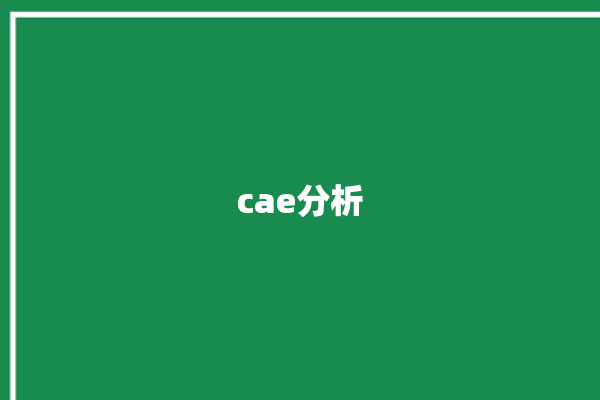 cae分析