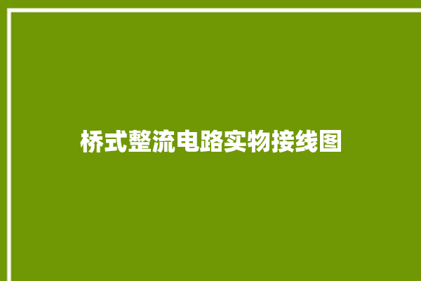 桥式整流电路实物接线图