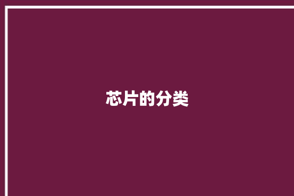 芯片的分类