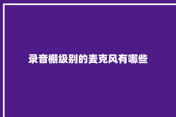 录音棚级别的麦克风有哪些