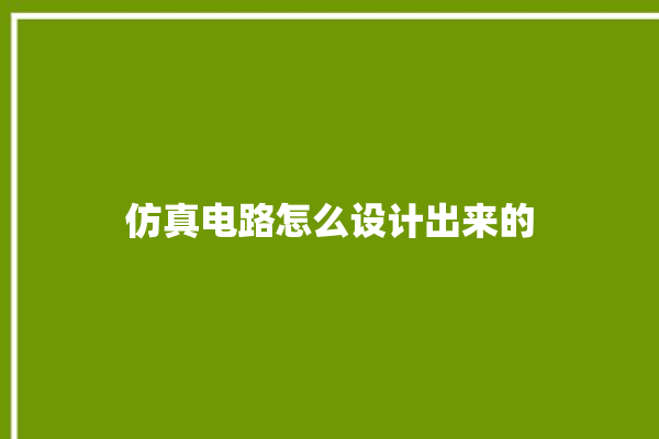 仿真电路怎么设计出来的