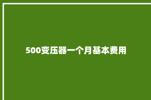 500变压器一个月基本费用