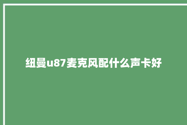 纽曼u87麦克风配什么声卡好