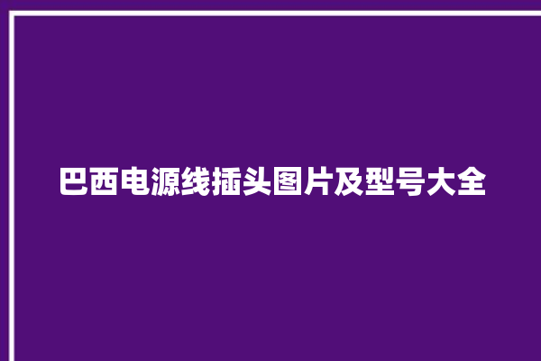 巴西电源线插头图片及型号大全