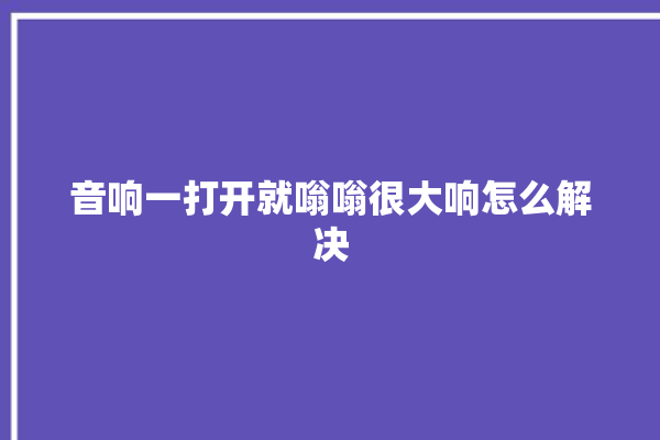 音响一打开就嗡嗡很大响怎么解决