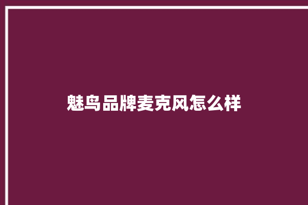 魅鸟品牌麦克风怎么样