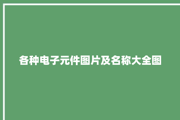 各种电子元件图片及名称大全图