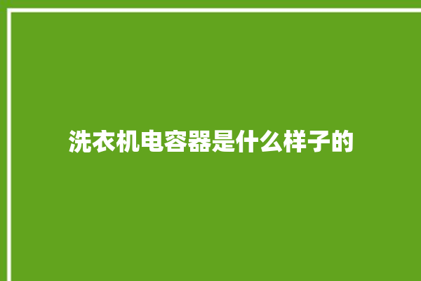 洗衣机电容器是什么样子的